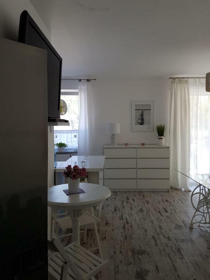 Apartament Lesny Дзивновек Экстерьер фото